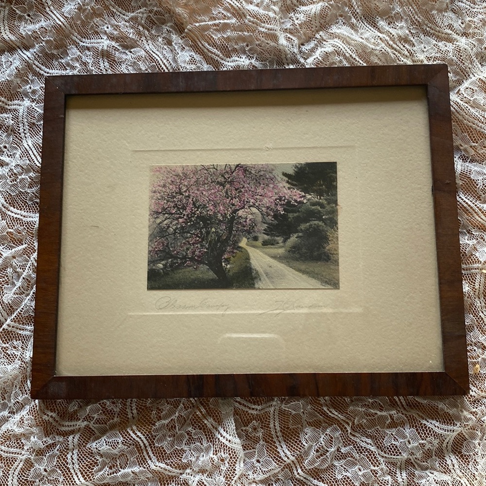 Vintage David Davidson signed “Blossom Canopy”framed & matted hand colored photo